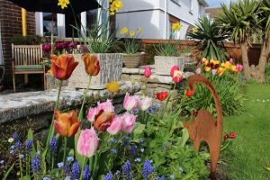 Garden flowers